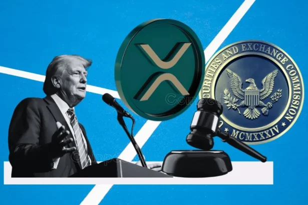 Expert Sends Wake-Up Call to XRP Investors, Dismisses Expectations of Immediate Post-Lawsuit Rally