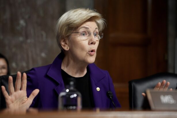 Ripple Spotlighted in Senator Warren's Letter Urging SEC Probe into Potential Political Influence