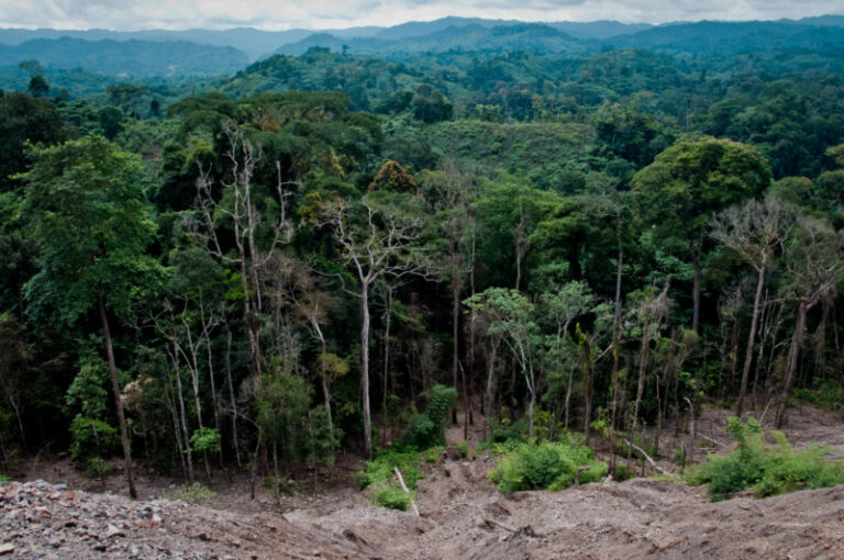 Climate Change: Global Impact Updates