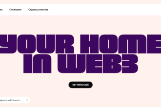 What Is MetaMask Extension Wallet? | Premier Guide