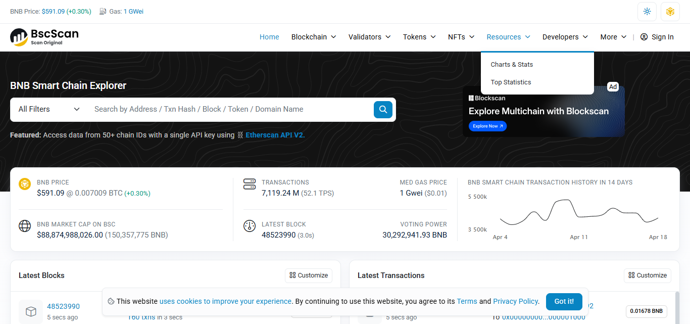 BscScan (Binance Smart Chain)