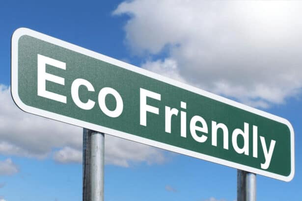 What Does It Mean to Be Eco-Friendly? | A Simple Guide
