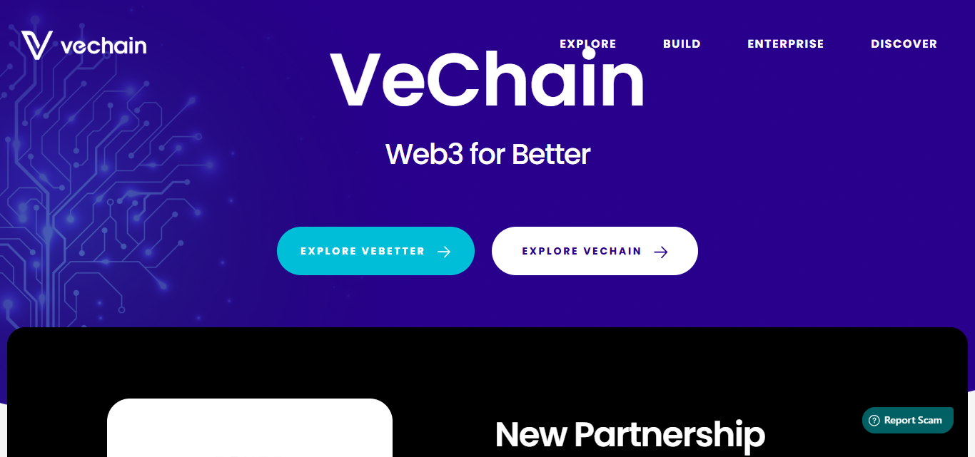 VeChain (VET)