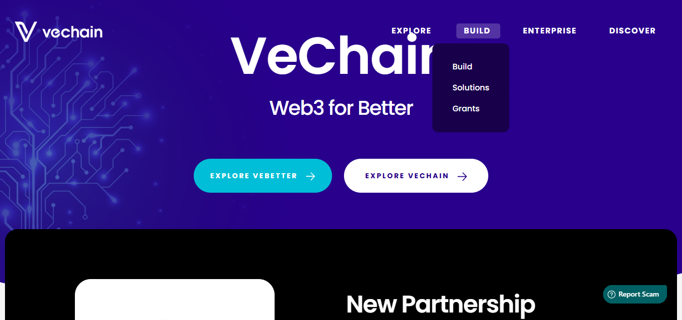VeChain (VET)