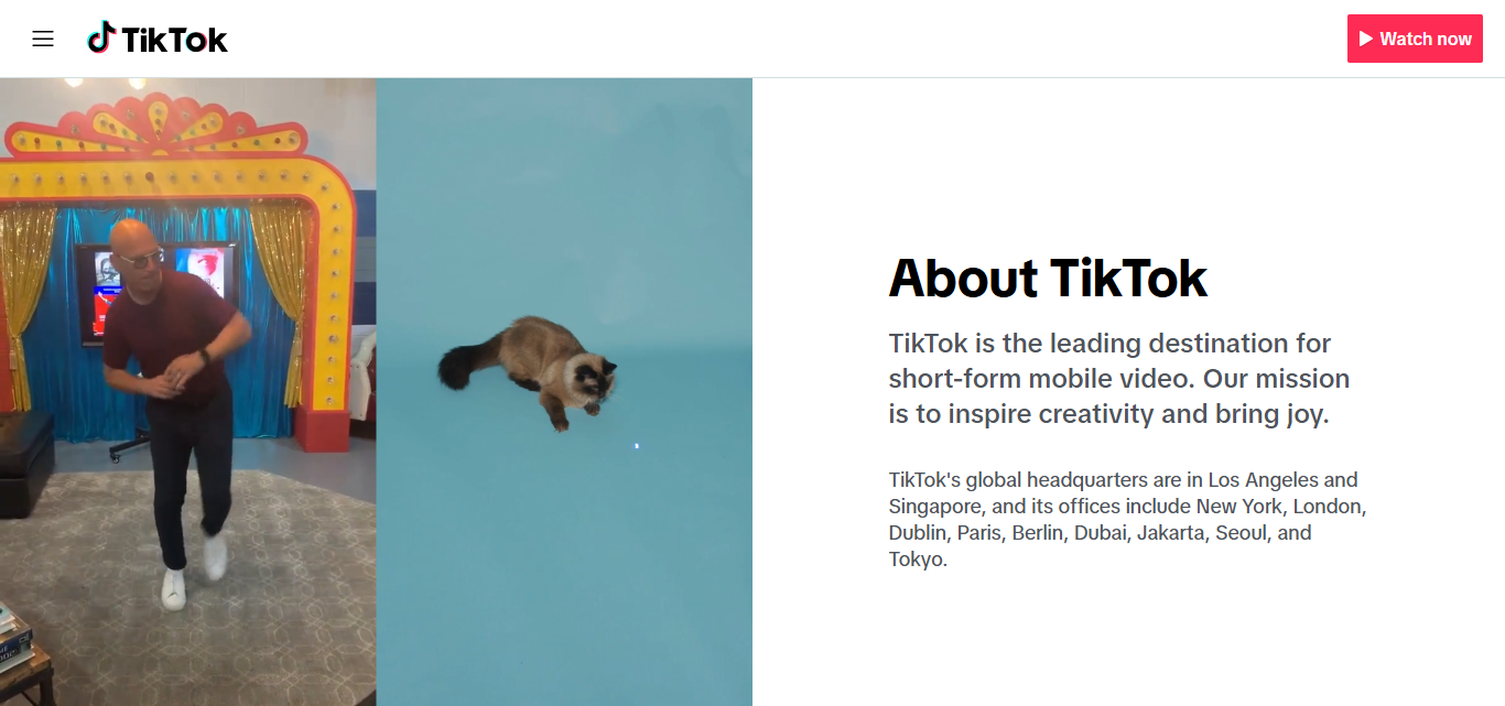 Overview TikTok