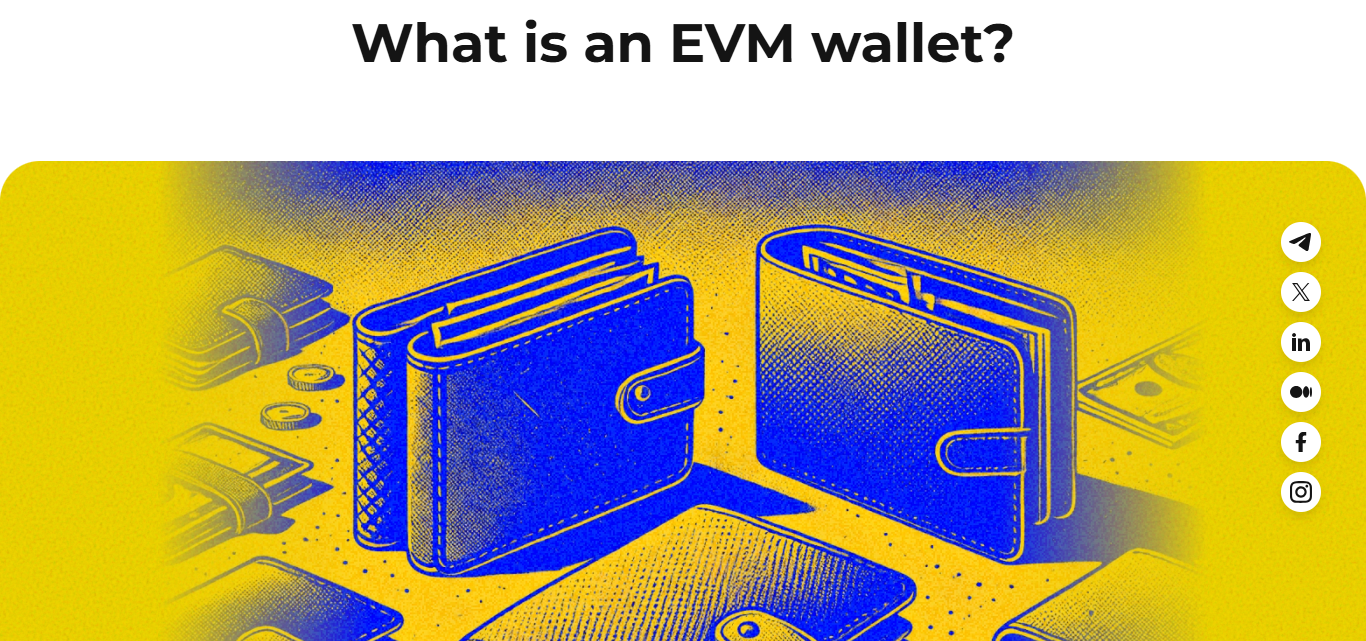 What Are EVM Wallets?