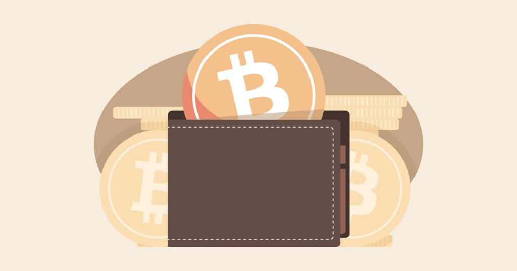 What Types of EVM Wallets Are There?