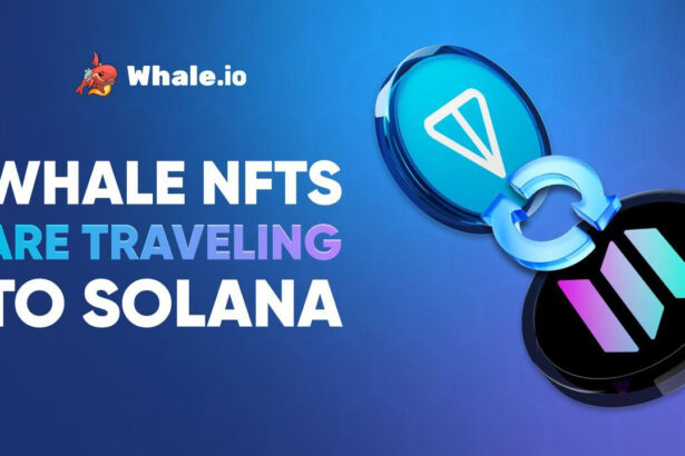 Whale NFT Bridge Goes Live: TON to Solana Migration Launches on Bridgemedaddy.com