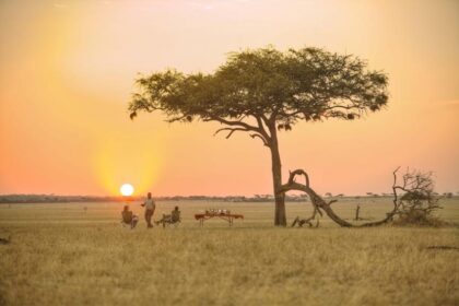 10 Best Crypto Exchanges For African Users