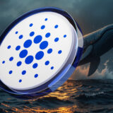Cardano, Whales