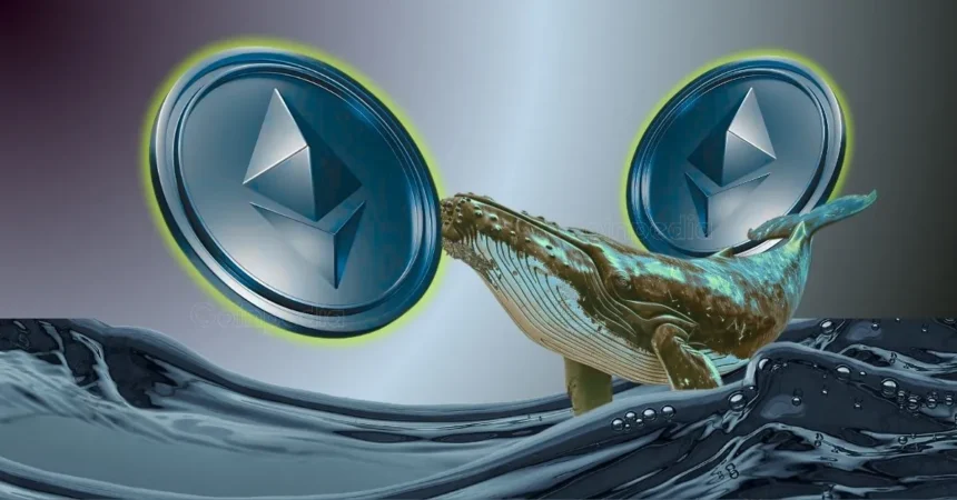 Ethereum Whales ,