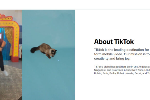 Tips For Creating Viral TikTok Challenges: A Step-by-Step Guide