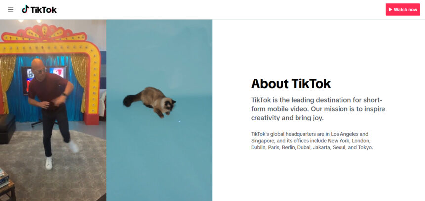 Tips For Creating Viral TikTok Challenges: A Step-by-Step Guide