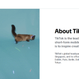 10 Tips For Branding Your TikTok Profile: Expert Guide
