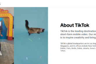 10 Tips For Branding Your TikTok Profile: Expert Guide