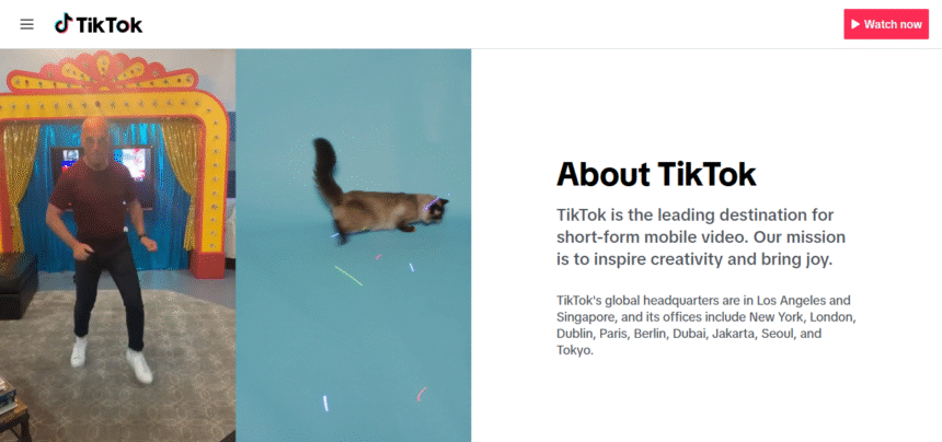 10 Tips For Branding Your TikTok Profile: Expert Guide
