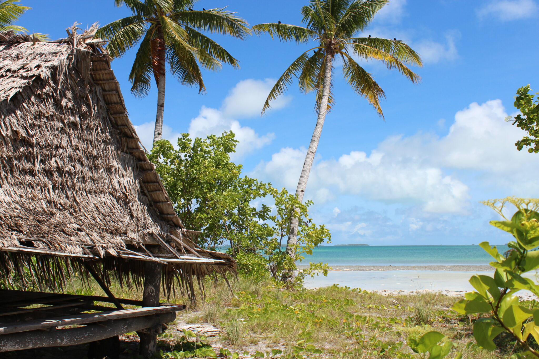 10 Best Crypto Exchanges In Kiribati (2025) – Top Platforms Compared