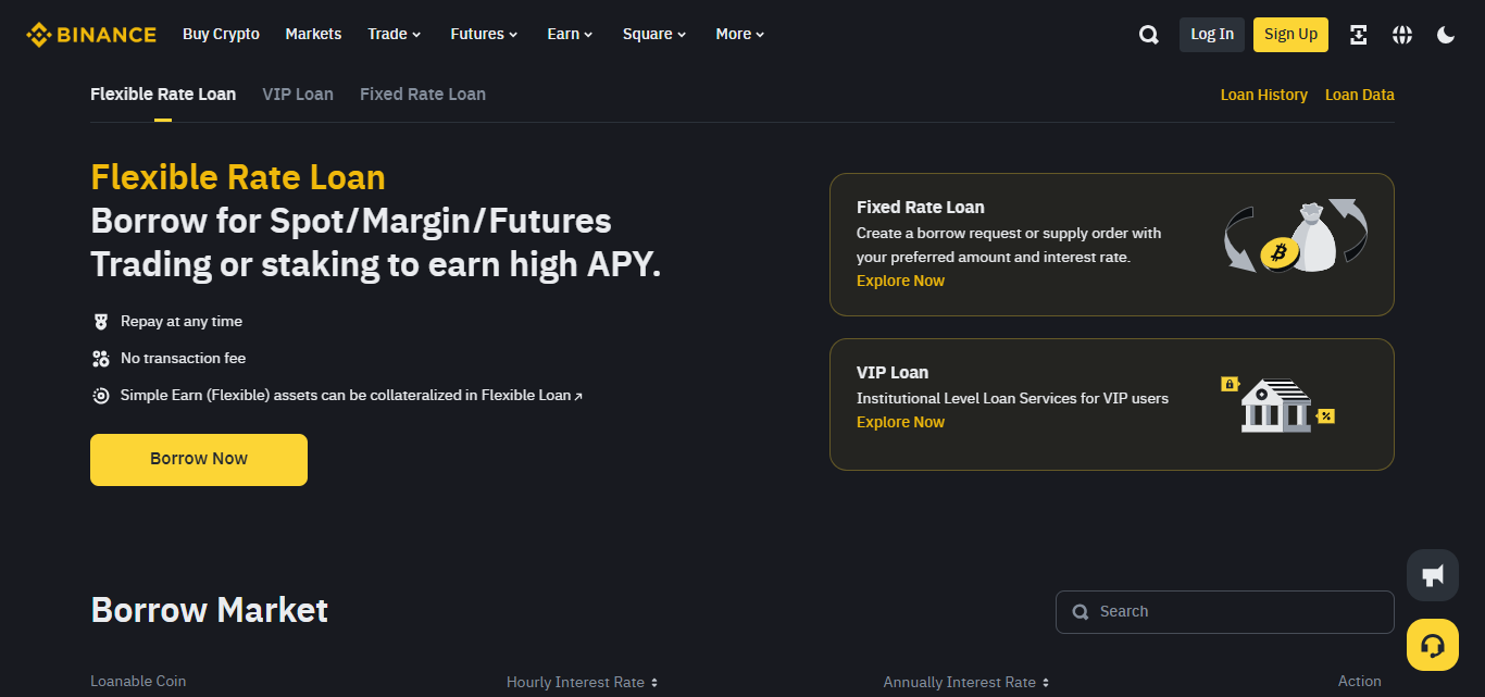 Binance Loans