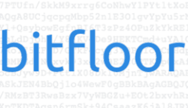Bitfloor Hack Crash (2012)