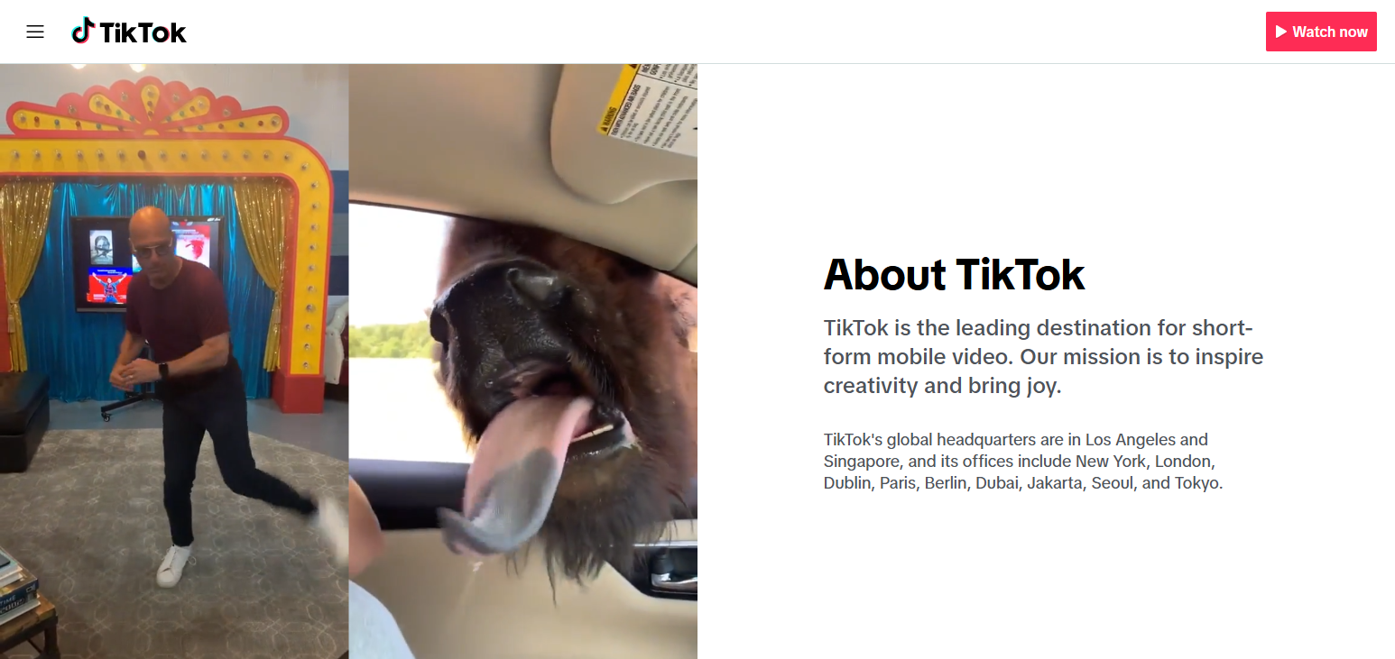 All About TikTok Challenges?