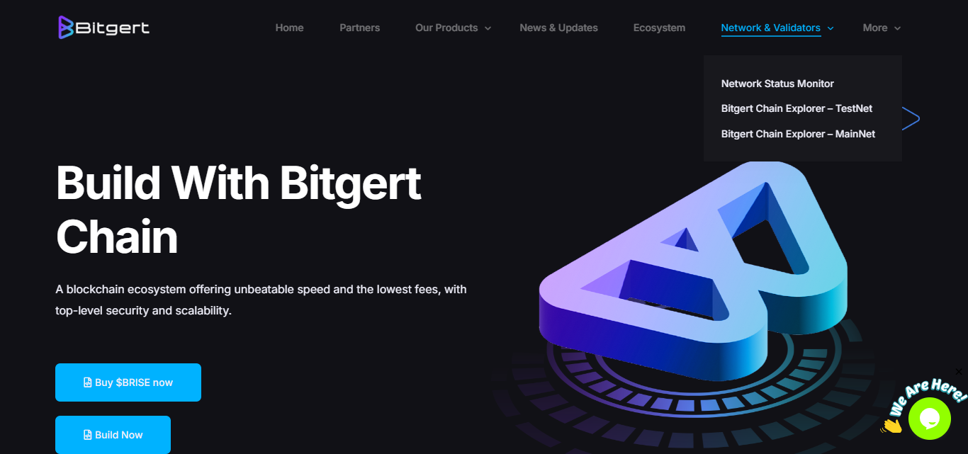 What is Bitgert (BRISE)?