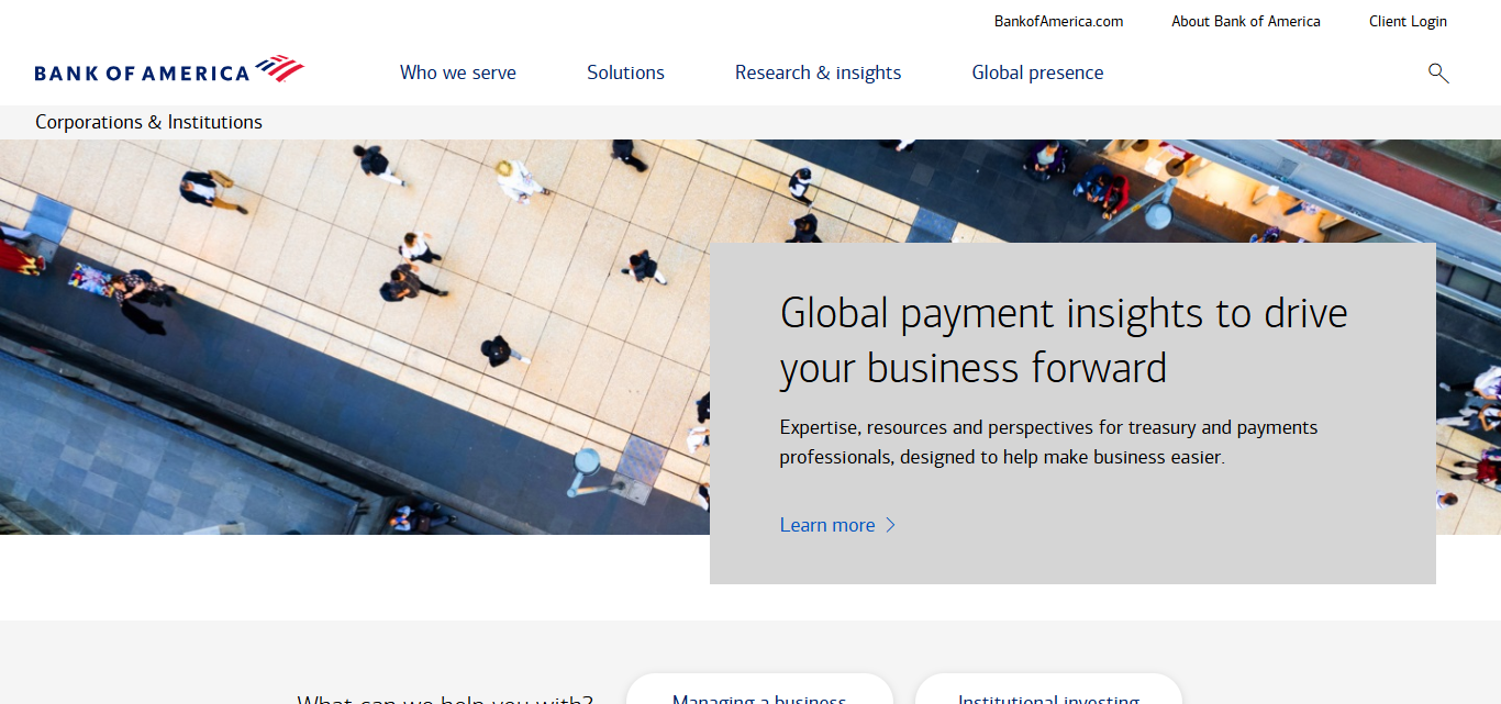 Bank of America/Merrill Lynch