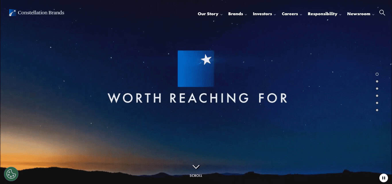 Constellation Brands (STZ)
