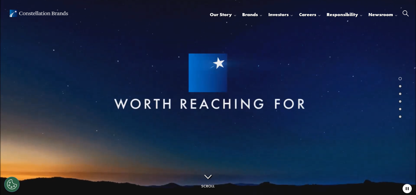 Constellation Brands (STZ)