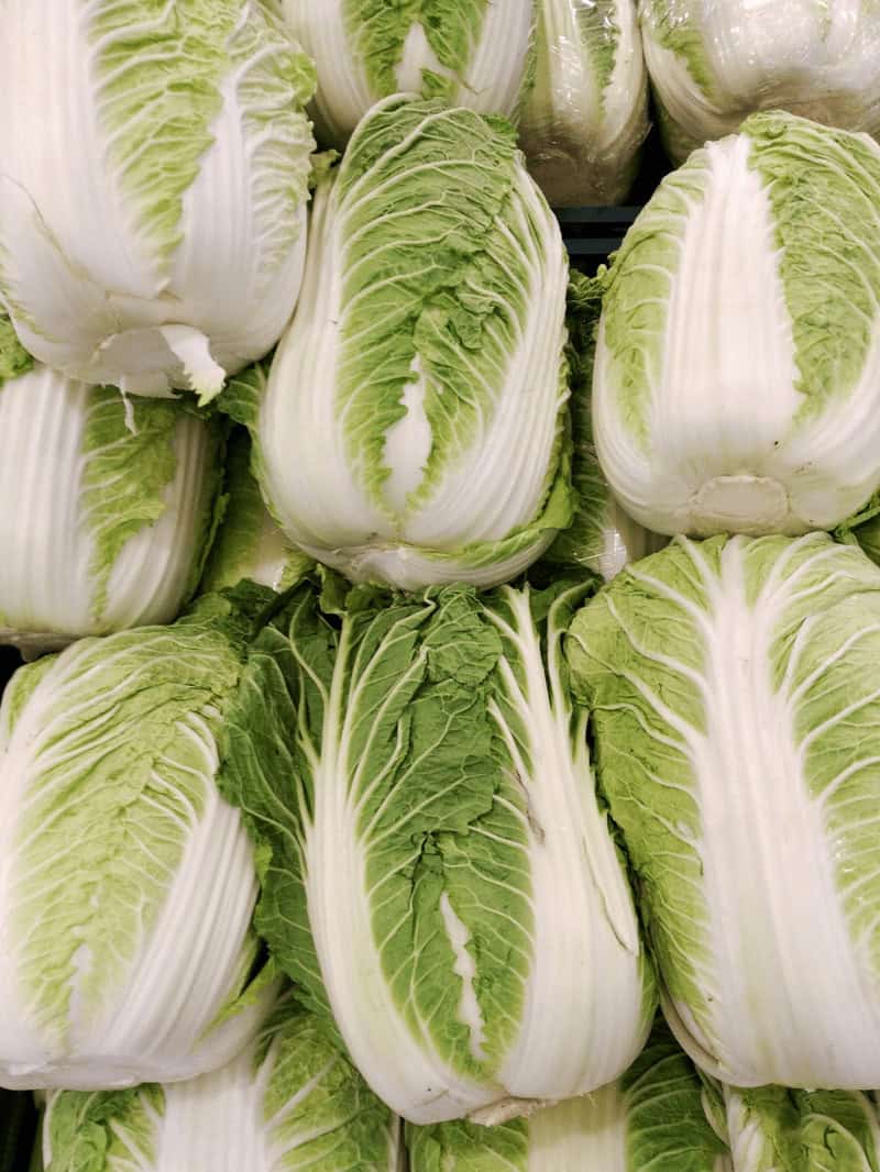 Napa Cabbage: A Fermenting Marvel