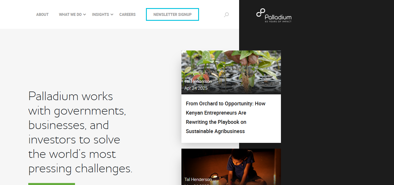 What is Palladium?