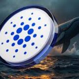 Whale