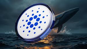 Whale