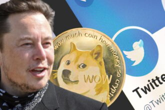 Elon Musk, dogecoin, Twitter’s blue bird
