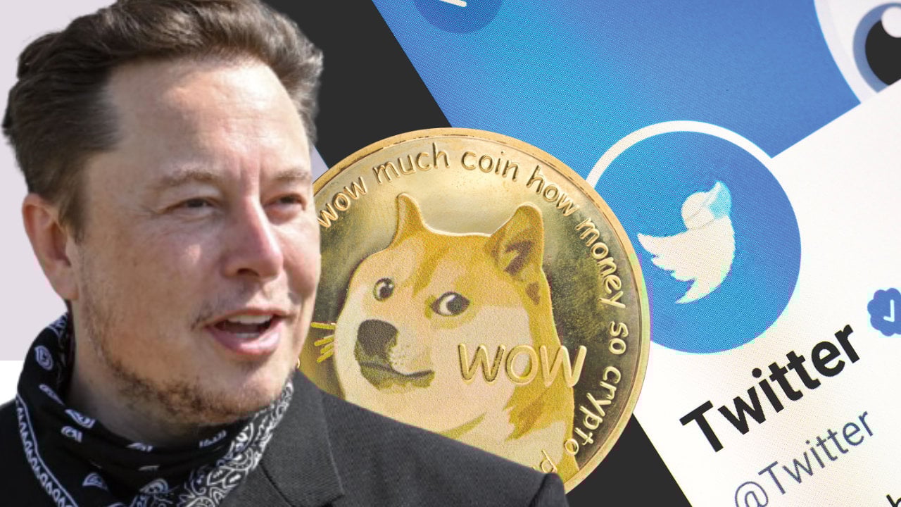 Elon Musk, dogecoin, Twitter’s blue bird