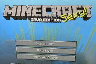 How To Play Multiplayer Minecraft Java: Step By Step Guide