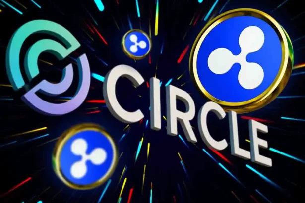 Ripple CTO Clarifies $6 Billion Circle Acquisition Joke Amid IPO Frenzy