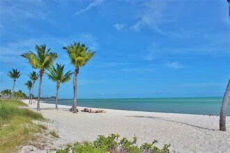 9 Best Car Insurance In Florida – Top Providers for 2025