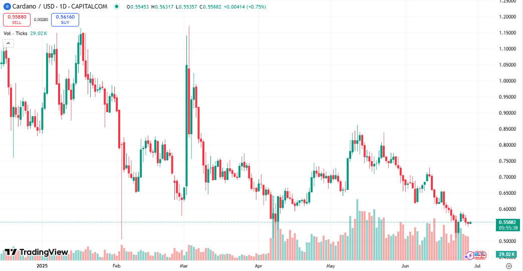 ADA’s Price Holds Steady Amid ETF Hype