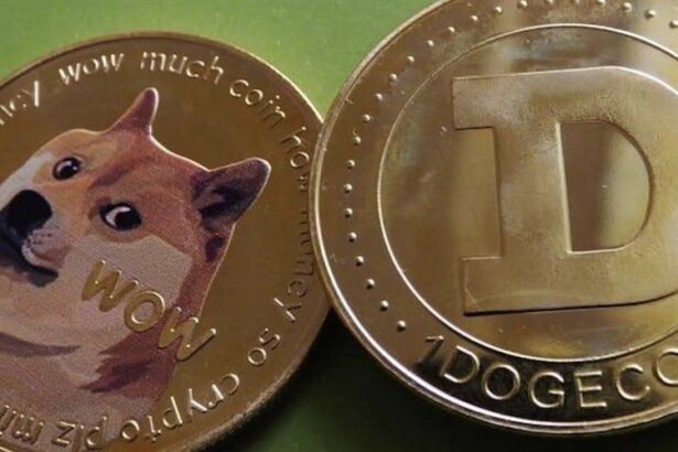 Dogecoin ETF Approval Odds Soar After Bitwise's Surprise SEC Filing Update