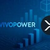 vivopower
