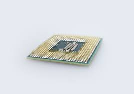 What are Microchips Used for?