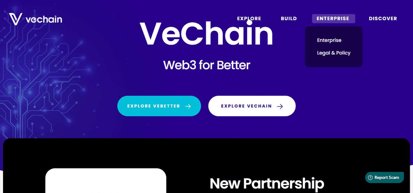 VeChain (VET