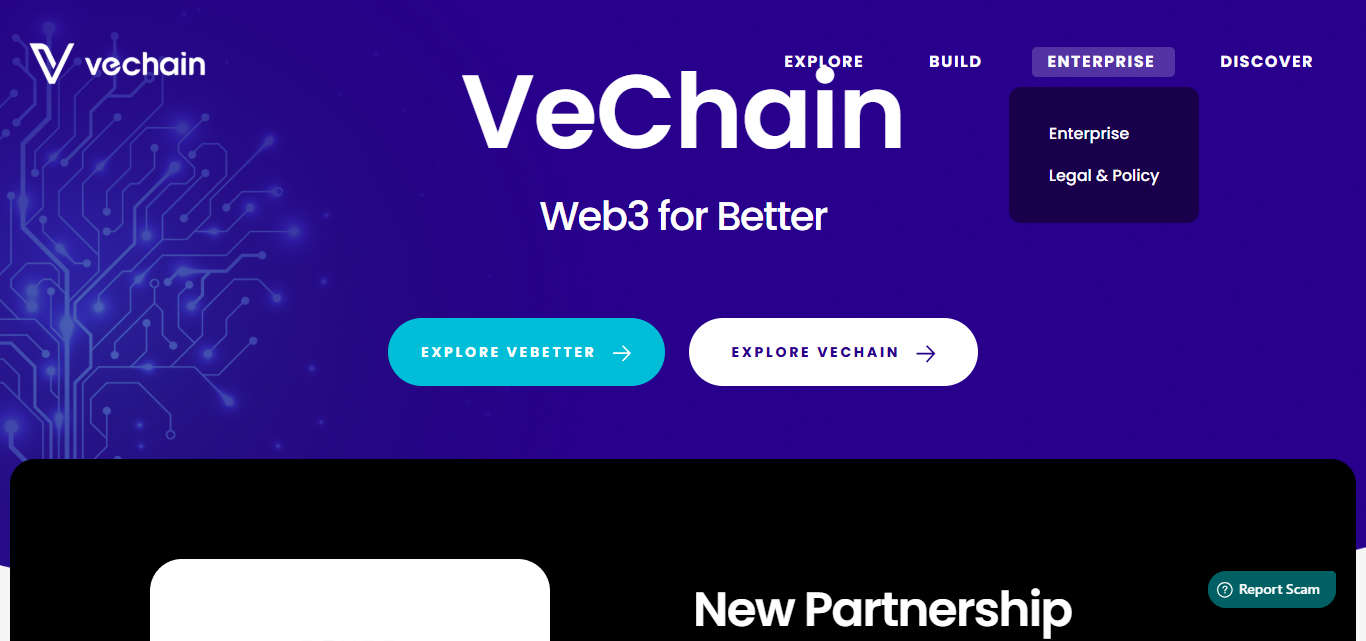 VeChain (VET