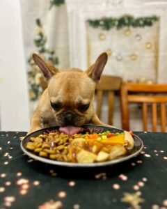 Pet Plate
