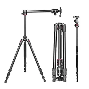 Digitek Tripod/Monopod