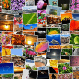 10 Best Methods For Organizing Digital Photos – Simple & Effective Tips