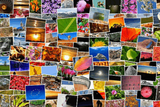 10 Best Methods For Organizing Digital Photos – Simple & Effective Tips