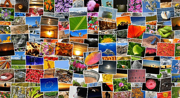 10 Best Methods For Organizing Digital Photos – Simple & Effective Tips