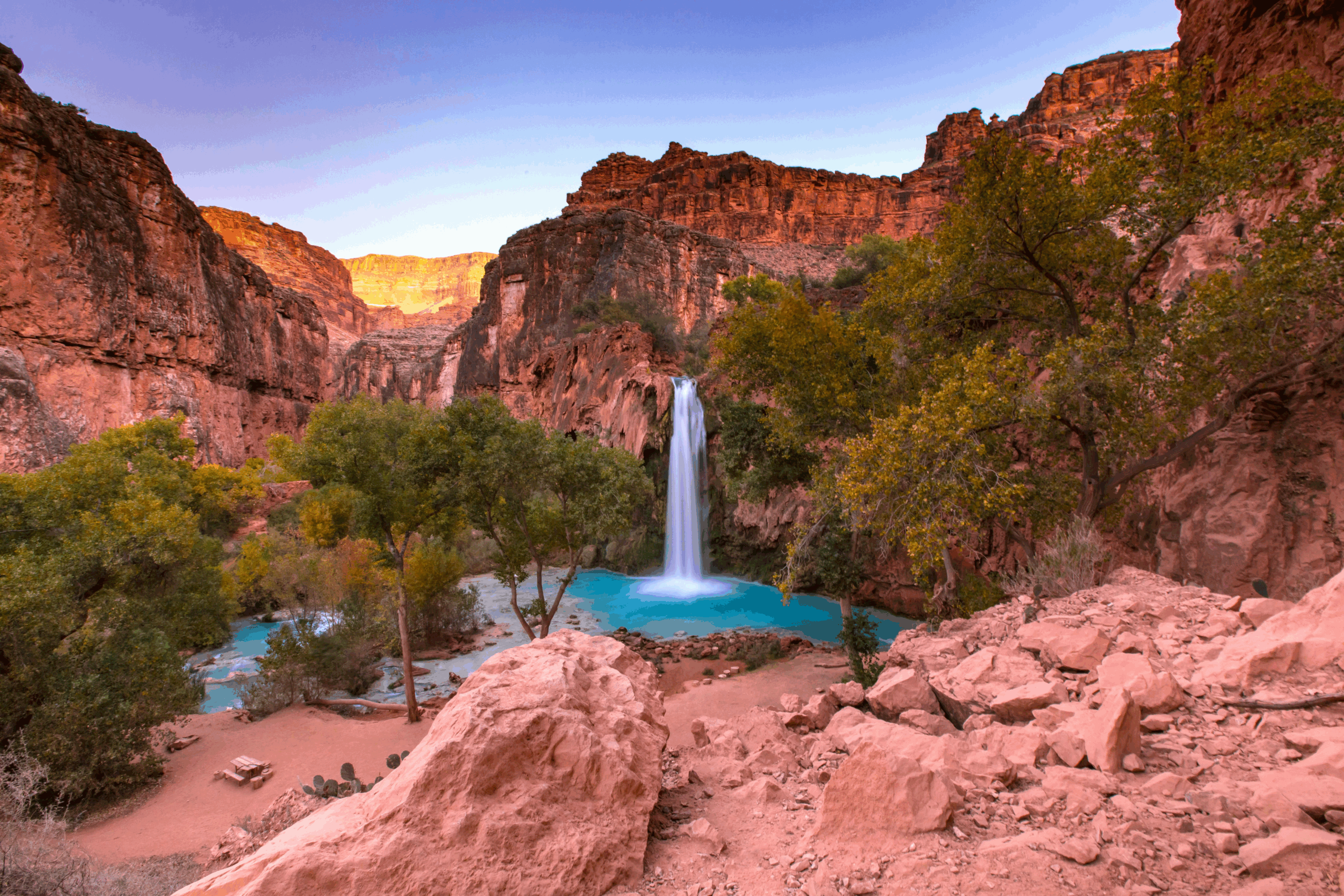 Arizona