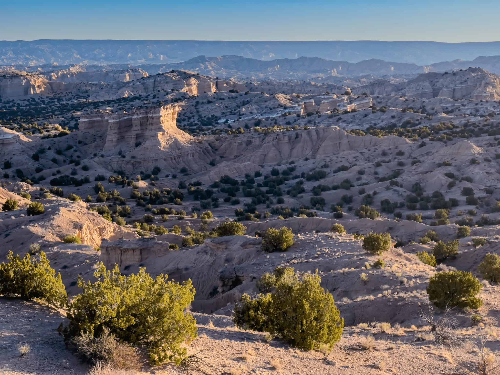 New Mexico